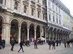 IMGP3960.jpg