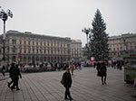 IMGP3963.jpg
