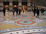 IMGP3974.jpg