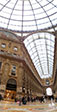 IMGP3979-pan.jpg
