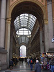 IMGP3985.jpg