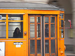 IMGP3990.jpg