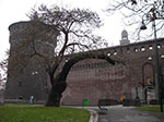 IMGP4036.jpg