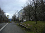CIMG4521.jpg