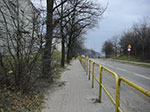 CIMG4744.jpg
