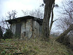 CIMG4750.jpg