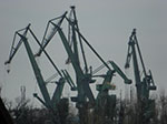 CIMG4759.jpg