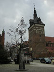 CIMG4768.jpg