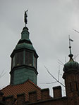 CIMG4770.jpg