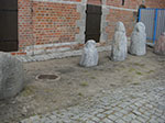 CIMG4808.jpg