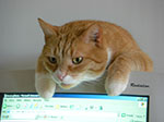 CIMG4878.jpg