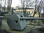 CIMG4959.jpg