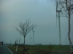 CIMG5328.jpg