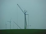 CIMG5331.jpg