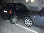 CIMG5420.jpg