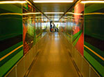 CIMG5434.jpg
