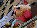 CIMG5503.jpg