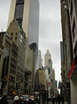 CIMG5574.jpg