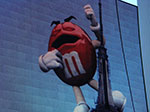 CIMG5718.jpg