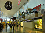 CIMG5782.jpg