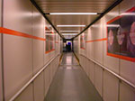 CIMG5787.jpg
