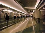 CIMG5805.jpg