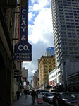 CIMG5824.jpg