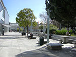 CIMG5828.jpg