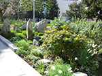 CIMG5829.jpg