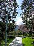 CIMG5831.jpg