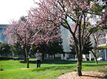 CIMG5833.jpg