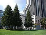 CIMG5843.jpg