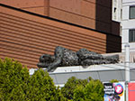 CIMG5871.jpg