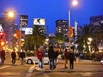 CIMG5900.jpg