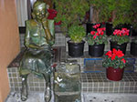 CIMG5960.jpg