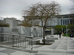 CIMG5973.jpg
