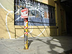 CIMG6208.jpg