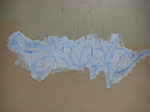 CIMG6211.jpg