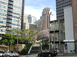 CIMG6236.jpg