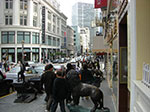 CIMG6286.jpg