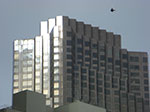 CIMG6304.jpg