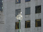 CIMG6311.jpg