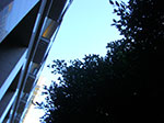 CIMG6332.jpg