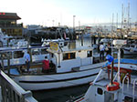 CIMG6441.jpg