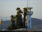 CIMG6489.jpg