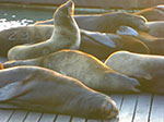 CIMG6505.jpg