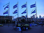 CIMG6530.jpg