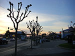 CIMG6532.jpg