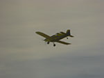 CIMG6606.jpg