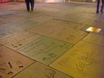 CIMG6632.jpg